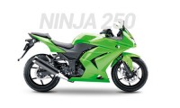Kawasaki Ninja 250 Verkleidung