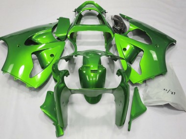 00-02 Metallic Grün ZX6R Motorrad Verkleidung