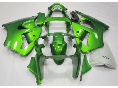 00-02 Metallic Grün ZX6R Motorrad Verkleidung