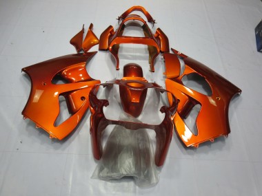 00-02 Orange ZX6R Motorrad Verkleidung