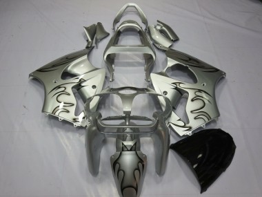 00-02 Silber Flamme ZX6R Motorrad Verkleidung