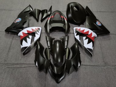 04-05 Matt Schwarzer Betty Bomber ZX10R Motorrad Verkleidung