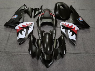 04-05 Matt Schwarzer Betty Bomber ZX10R Motorrad Verkleidung