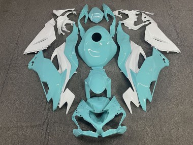 19-23 Aqua ZX6R Motorrad Verkleidung