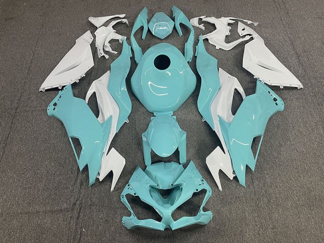 19-23 Aqua ZX6R Motorrad Verkleidung