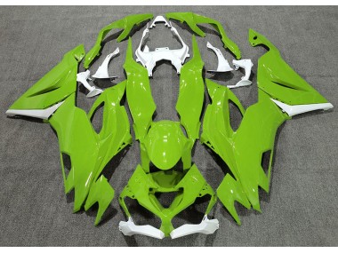 19-23 Glänzend Grün & Weiß ZX6R Motorrad Verkleidung