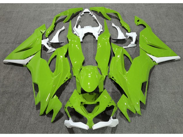 19-23 Glänzend Grün & Weiß ZX6R Motorrad Verkleidung 19-23 Glänzend Grün & Weiß ZX6R Motorrad Verkleidung